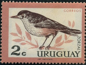 1962
