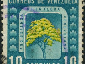 1956