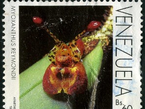 1996