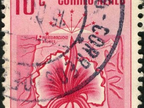 1951
