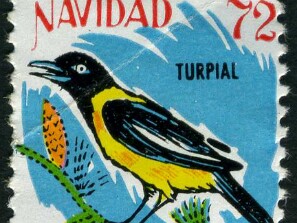 1972