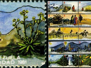 1981