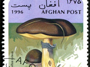 1996