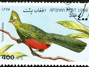 1998