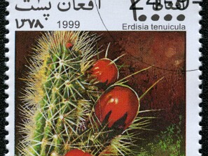 1999