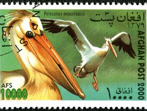 2000