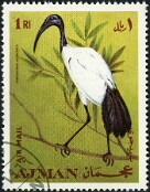 Ajman