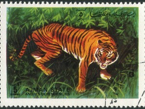 1972