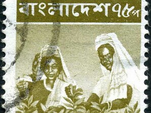 1976