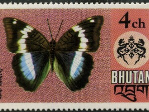 1975