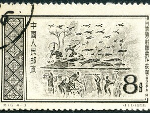 1956