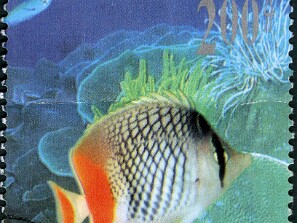 1998