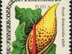1982