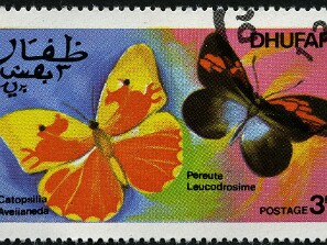 Dhufar