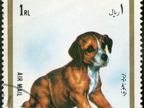 1971