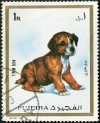 Fujeira