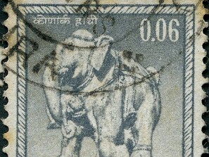 1966