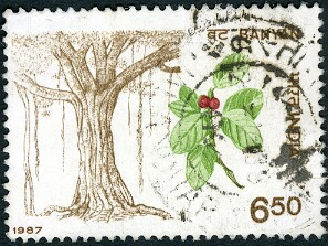 1987