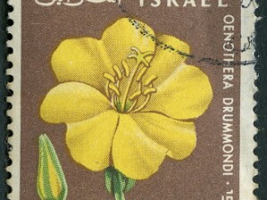 1960