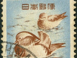 1955