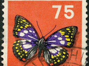 1956