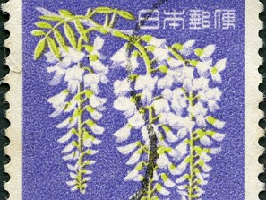 1971