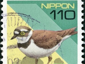 1994