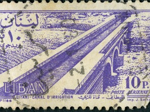 1954