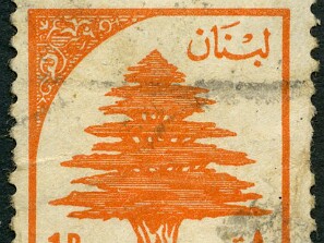 1955