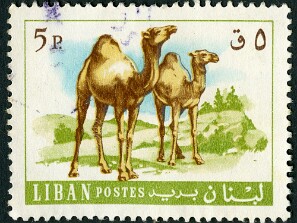1965