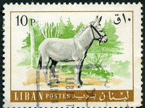 1968