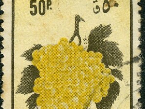 1972