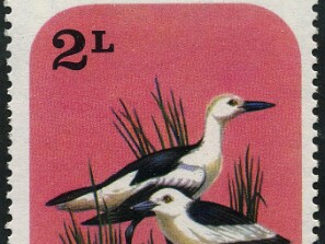 1977