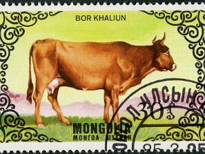 1985
