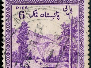 1954