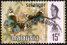 Selangor