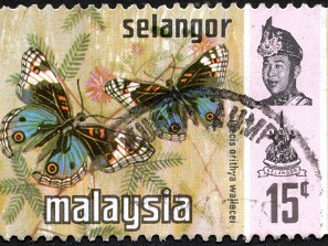 Selangor