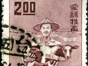 1961