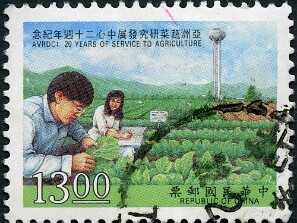 1991
