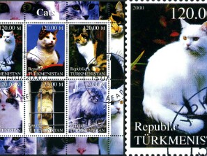 2000