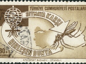 1962