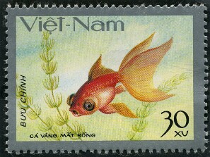 1977
