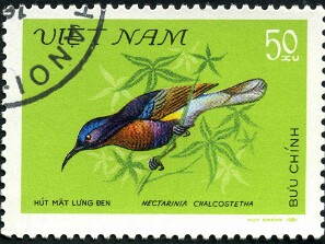 1981
