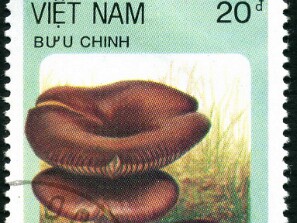 1987