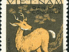 1967