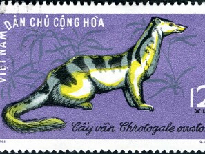 1968