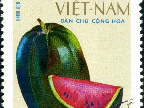 1969