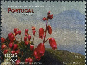 1999