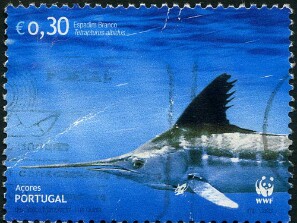 2004
