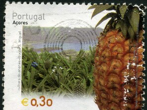 2006